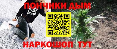 прущие крисы Будённовск