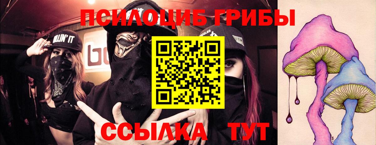 Галлюциногенные грибы прущие грибы  Галлюциногенные грибы GOLDEN TEACHER  Вход с VPN  Фролово 